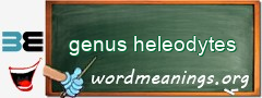 WordMeaning blackboard for genus heleodytes